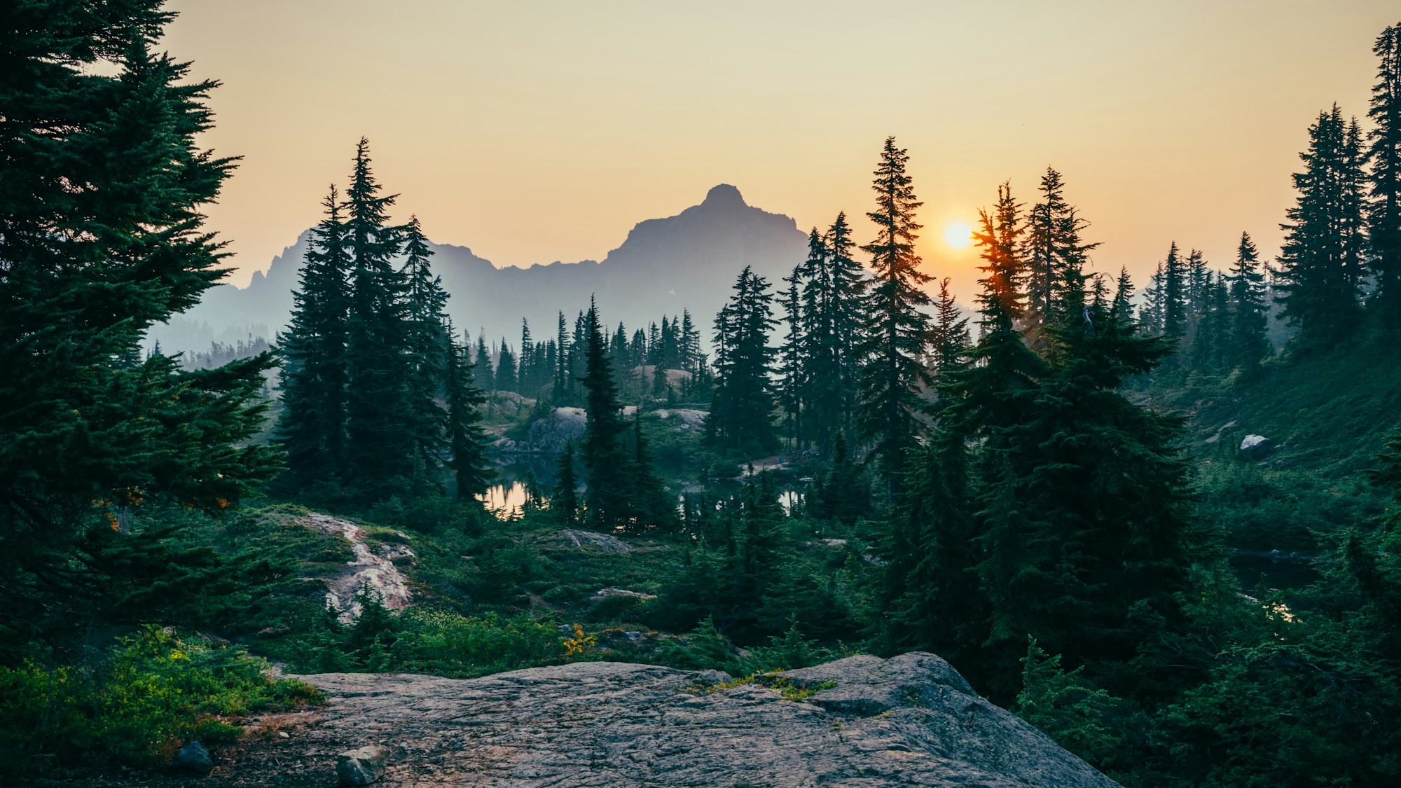 Evening light over conifers and mountains near the Cascade range (placeholder imagery)
